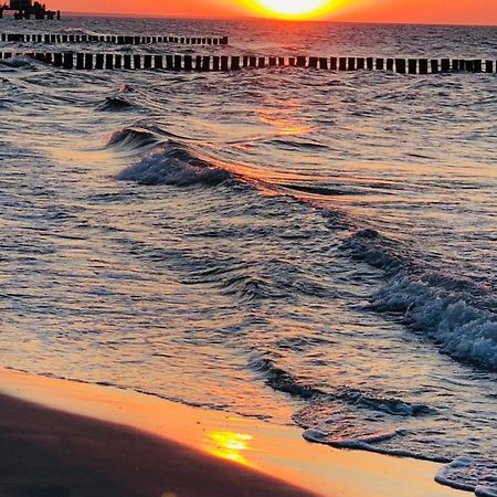 Apartmán Igel Zingst Exteriér fotografie