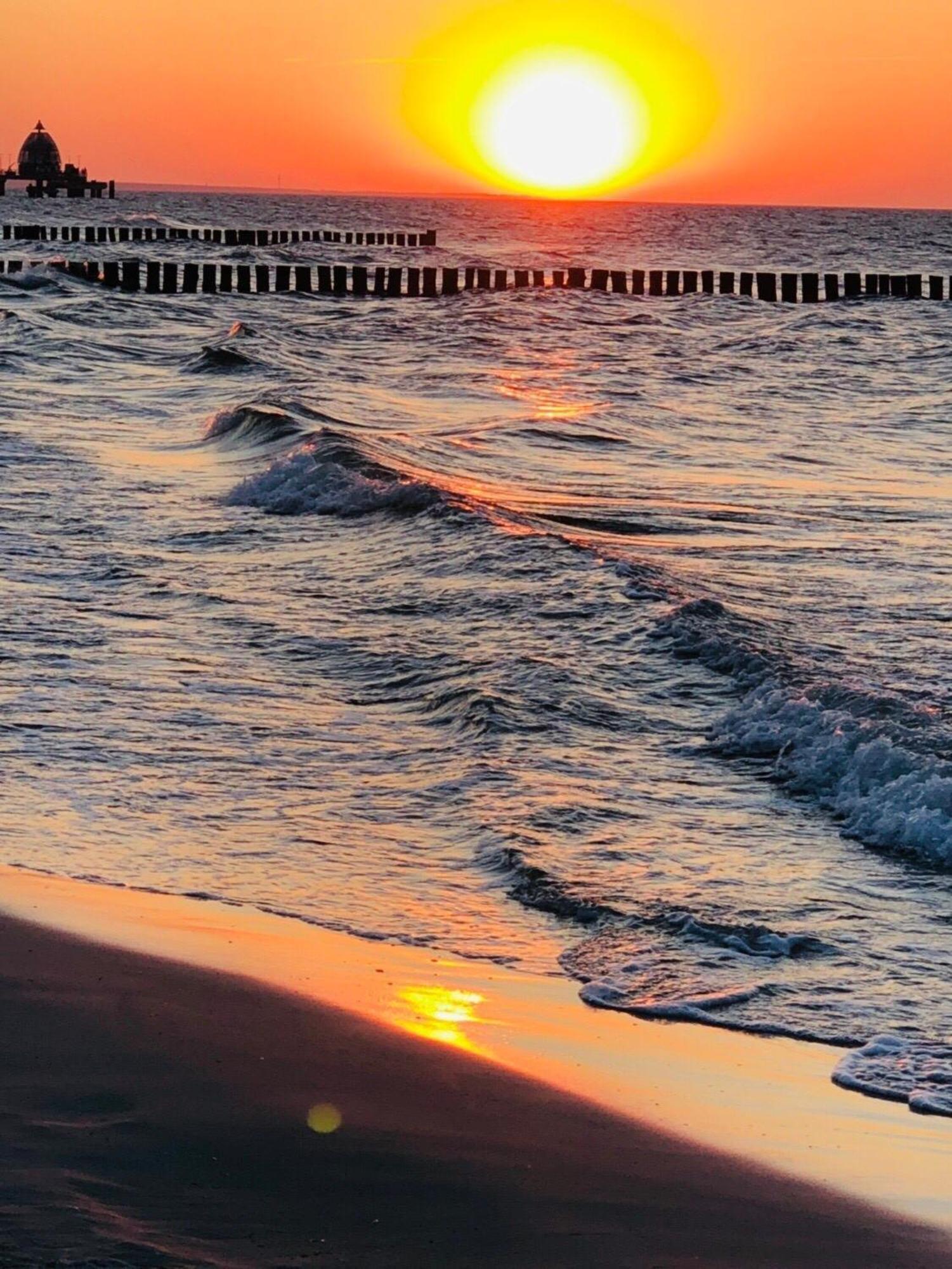 Apartmán Igel Zingst Exteriér fotografie